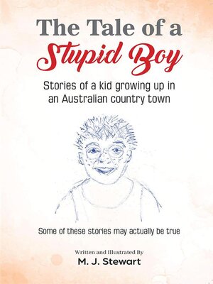 cover image of The Tale of a Stupid Boy